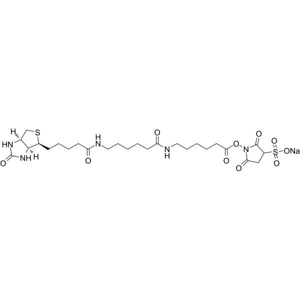 Sulfo-NHS-LC-LC-Biotin 194041-66-2